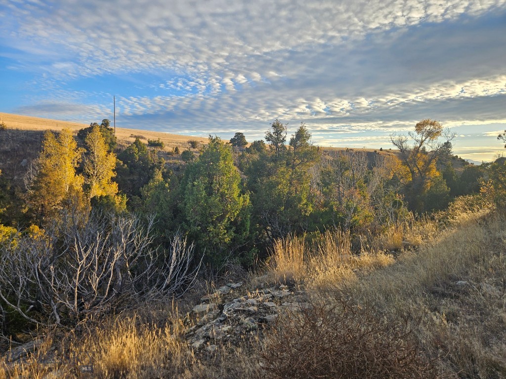 1590 Four Rivers Road, Three Forks MT 59752