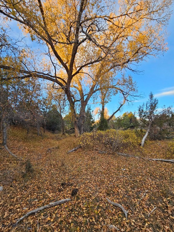 1590 Four Rivers Road, Three Forks MT 59752