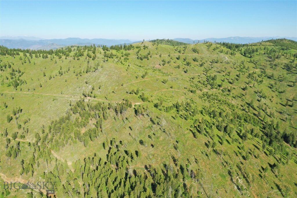 16 Tract, Garnet Range, Drummond MT 59832