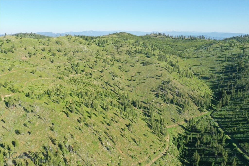 16 Tract, Garnet Range, Drummond MT 59832