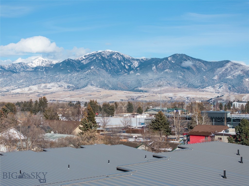 1608 W Beall Street, Bozeman MT 59715