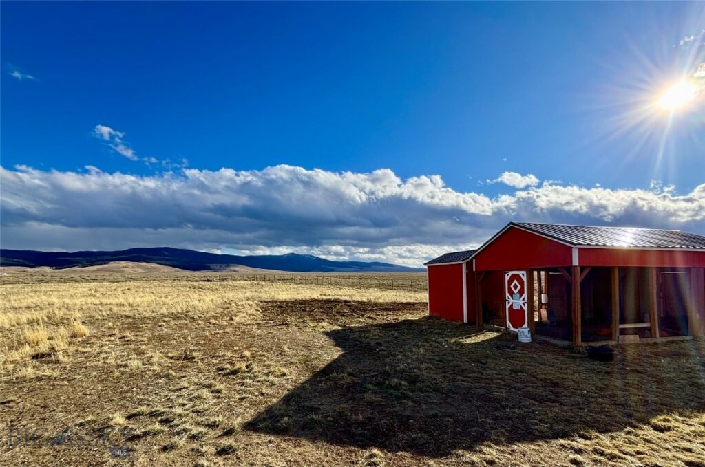 1624 Steel Creek Road, Wisdom MT 59761