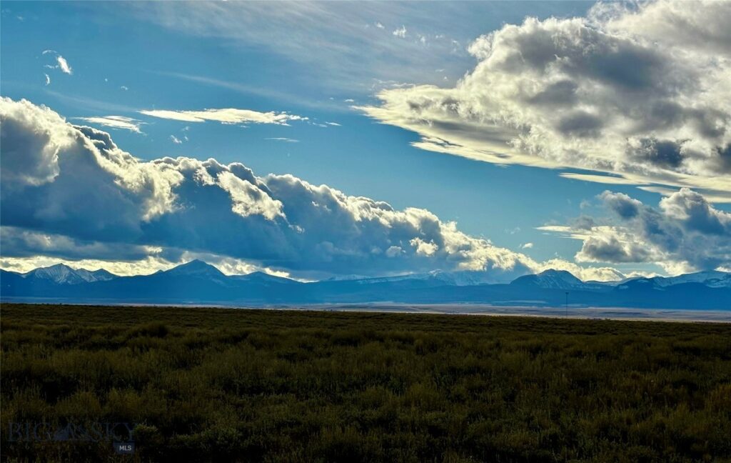 1624 Steel Creek Road, Wisdom MT 59761