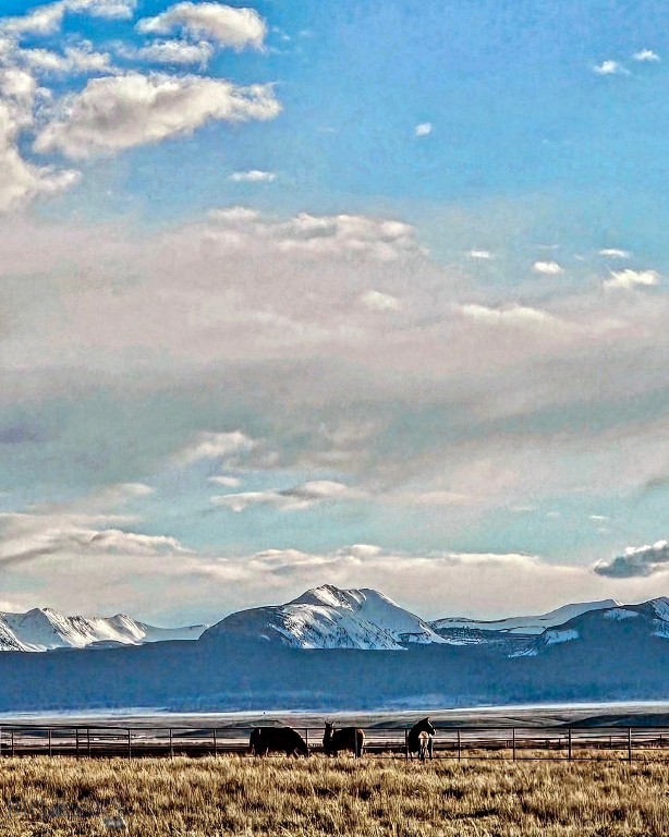 1624 Steel Creek Road, Wisdom MT 59761