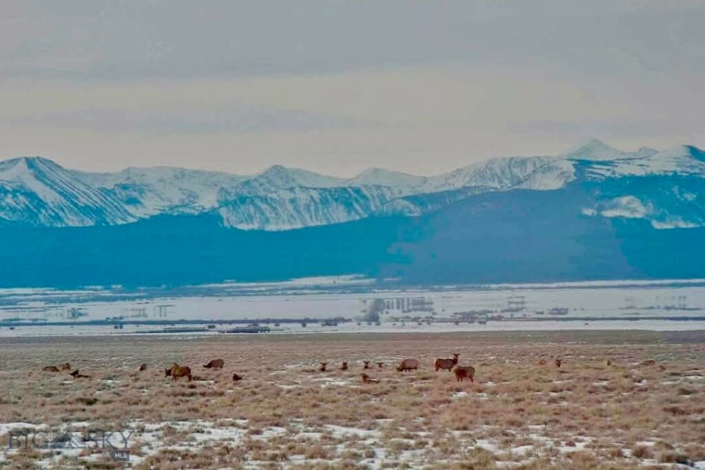 1624 Steel Creek Road, Wisdom MT 59761