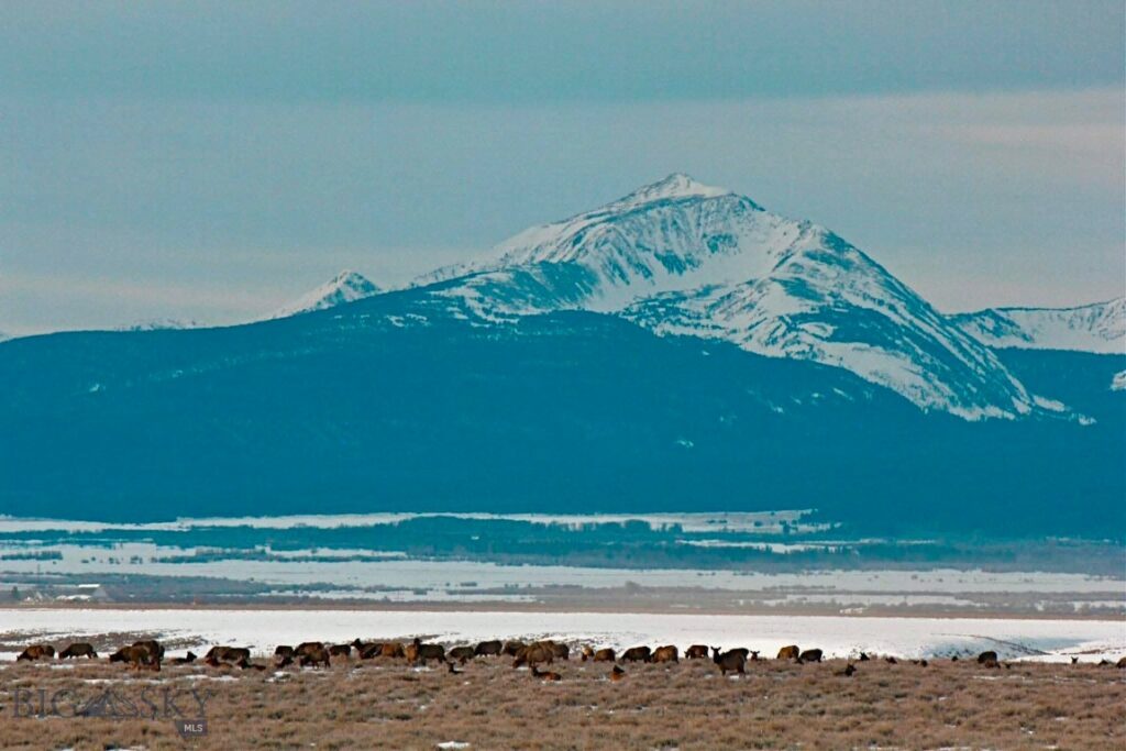 1624 Steel Creek Road, Wisdom MT 59761