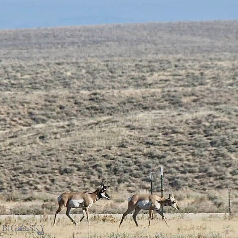 1624 Steel Creek Road, Wisdom MT 59761