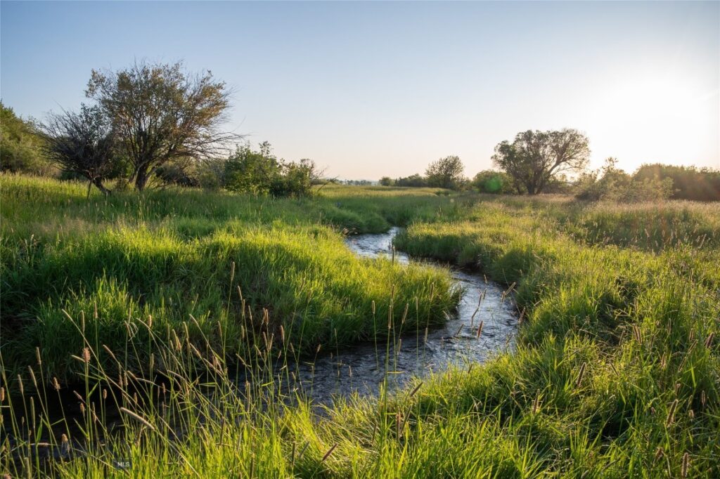 164 Pony Road, Harrison MT 59735