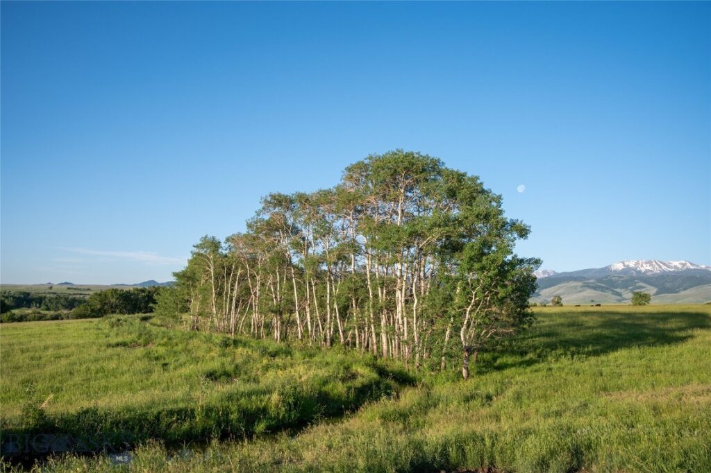 164 Pony Road, Harrison MT 59735