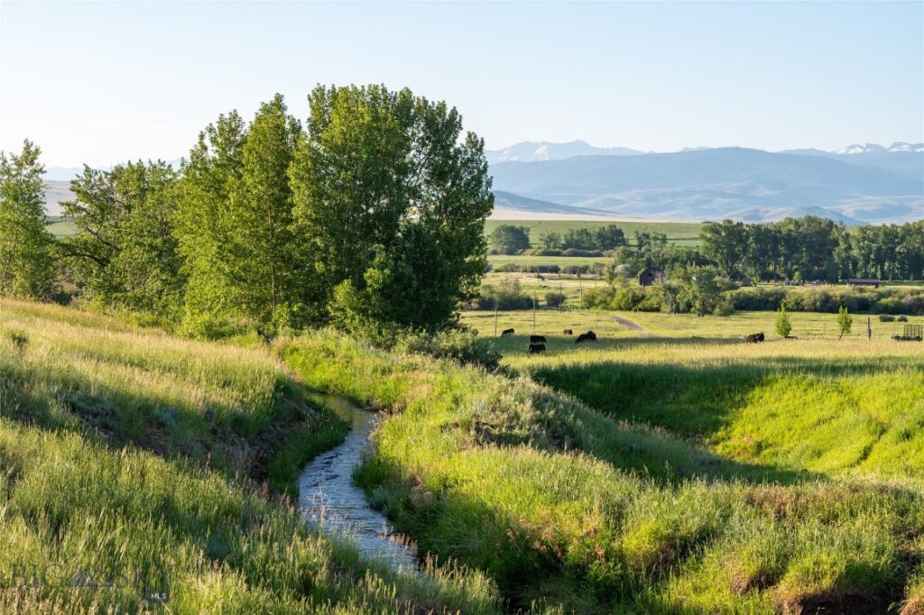 164 Pony Road, Harrison MT 59735