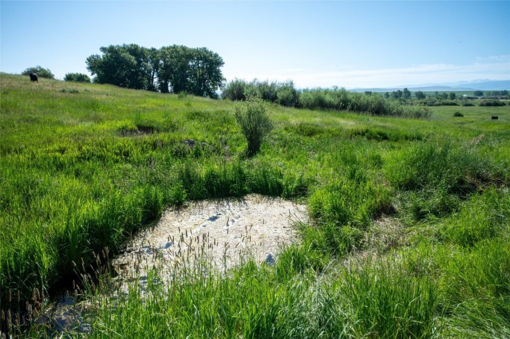 164 Pony Road, Harrison MT 59735