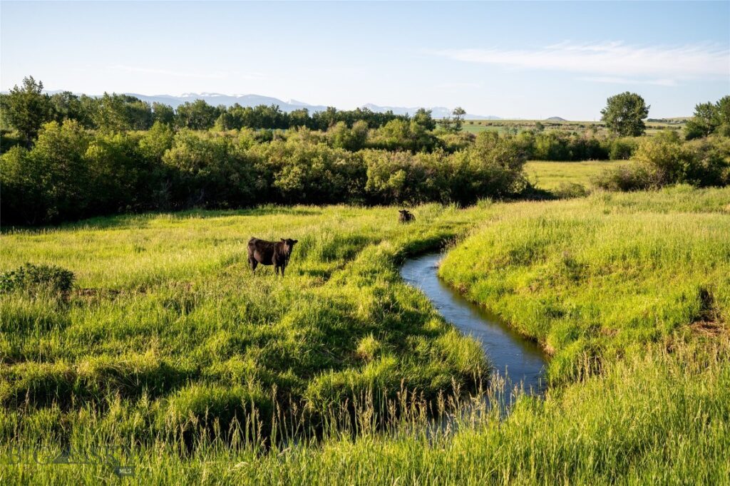 164 Pony Road, Harrison MT 59735