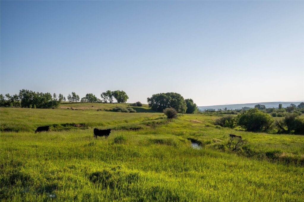 164 Pony Road, Harrison MT 59735