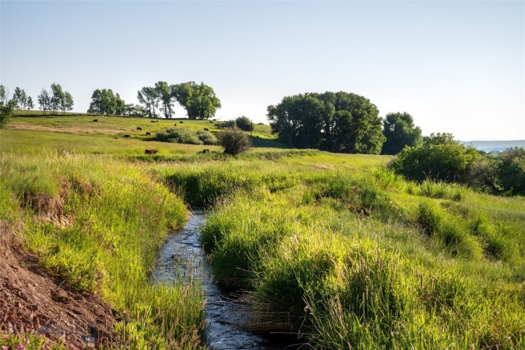 164 Pony Road, Harrison MT 59735