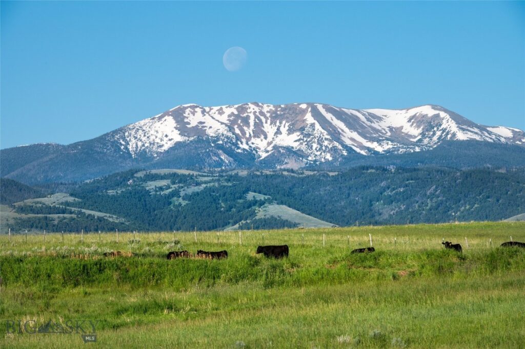 164 Pony Road, Harrison MT 59735