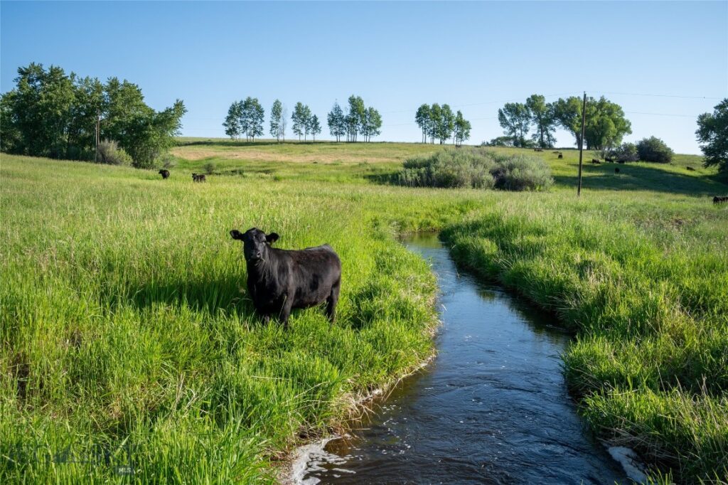 164 Pony Road, Harrison MT 59735