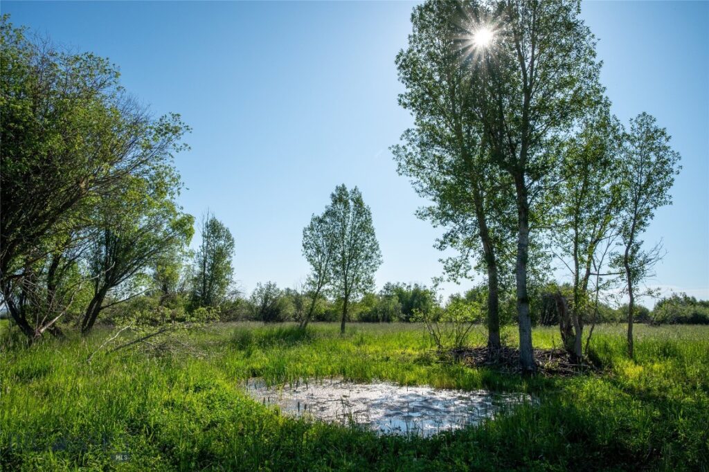 164 Pony Road, Harrison MT 59735