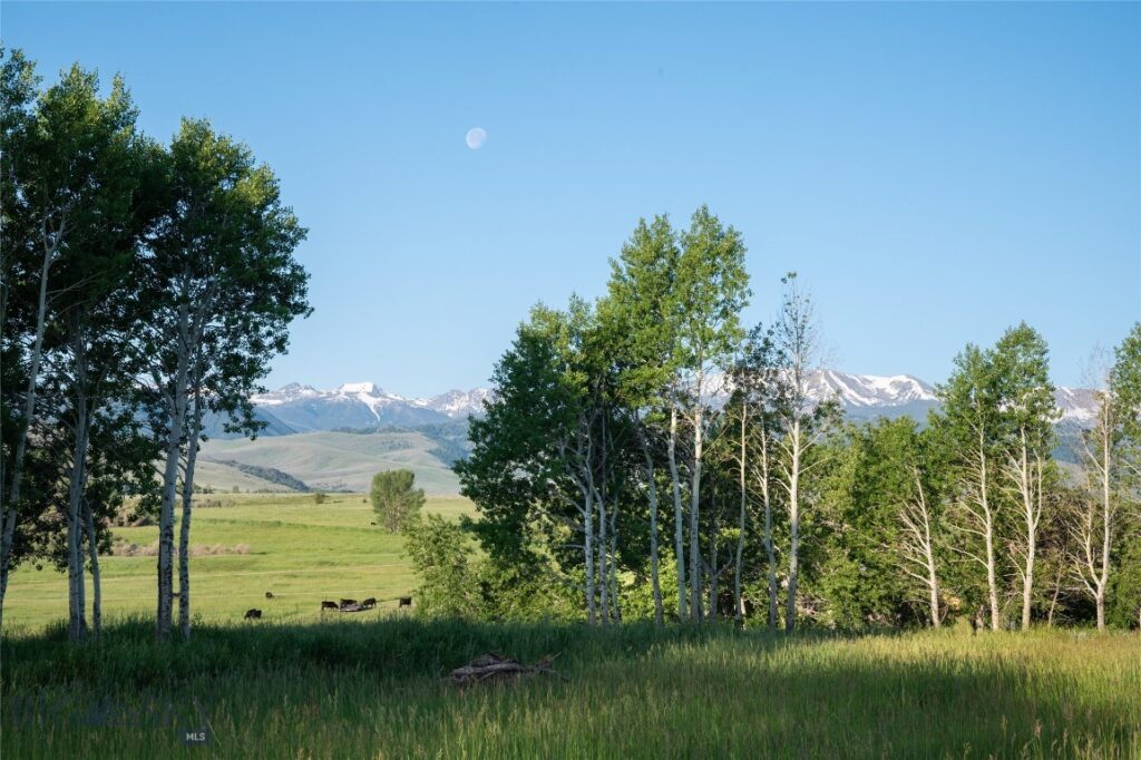 164 Pony Road, Harrison MT 59735