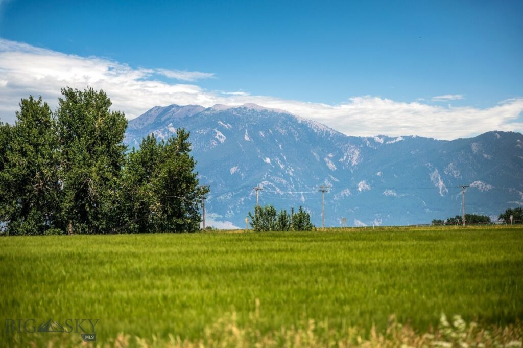 168 Kimber Ct, Bozeman MT 59718