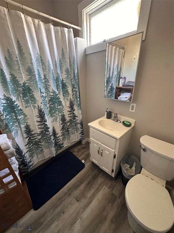 1717 Lowell Avenue, Butte MT 59701