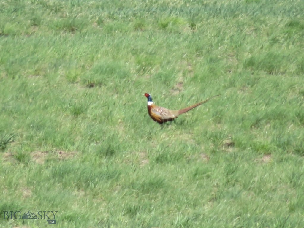 18 Vernon Road, Highwood MT 59450