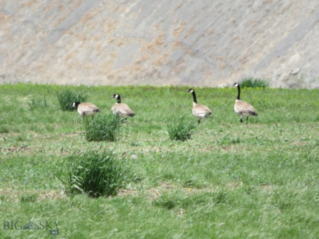 18 Vernon Road, Highwood MT 59450