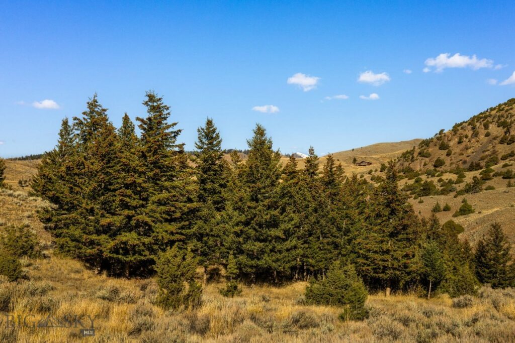 18 Libra Drive, Emigrant MT 59027