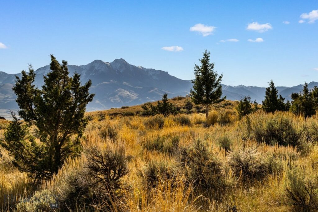 18 Libra Drive, Emigrant MT 59027