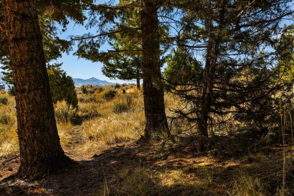 18 Libra Drive, Emigrant MT 59027