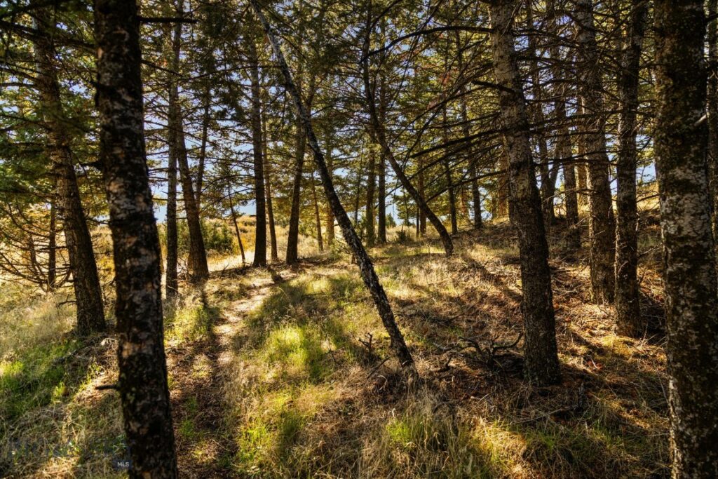 18 Libra Drive, Emigrant MT 59027