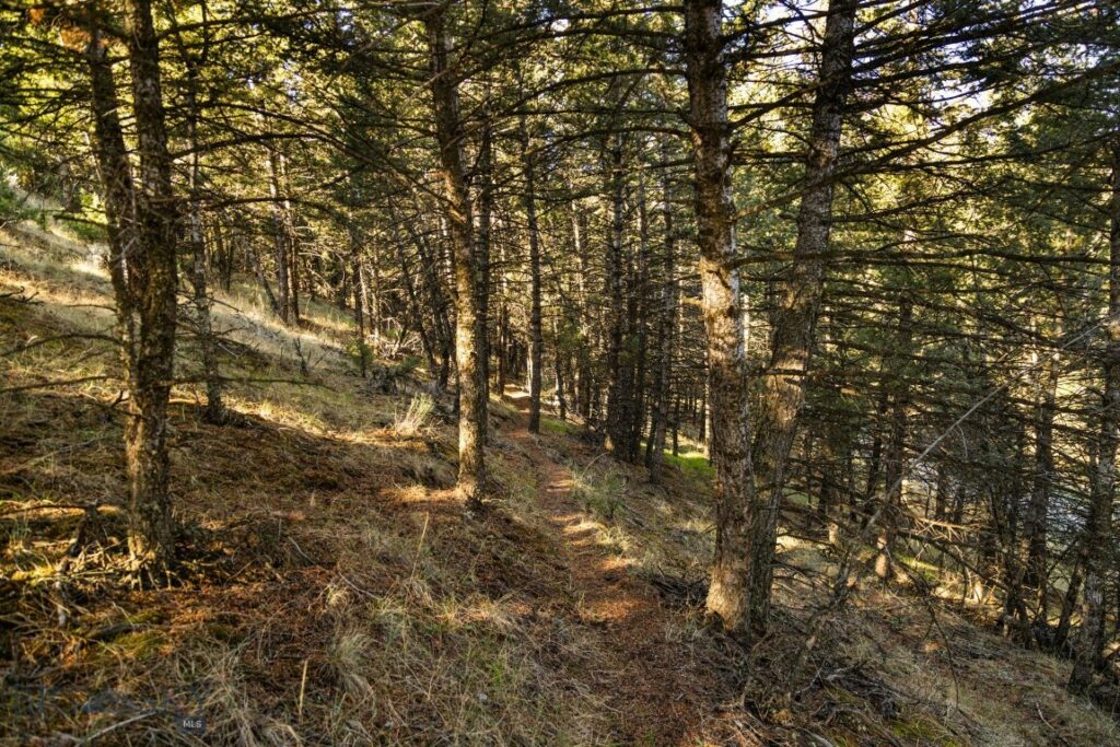 18 Libra Drive, Emigrant MT 59027