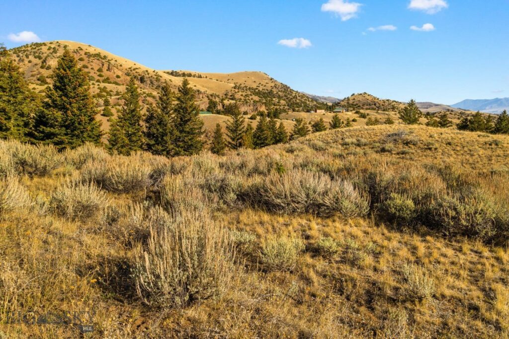 18 Libra Drive, Emigrant MT 59027