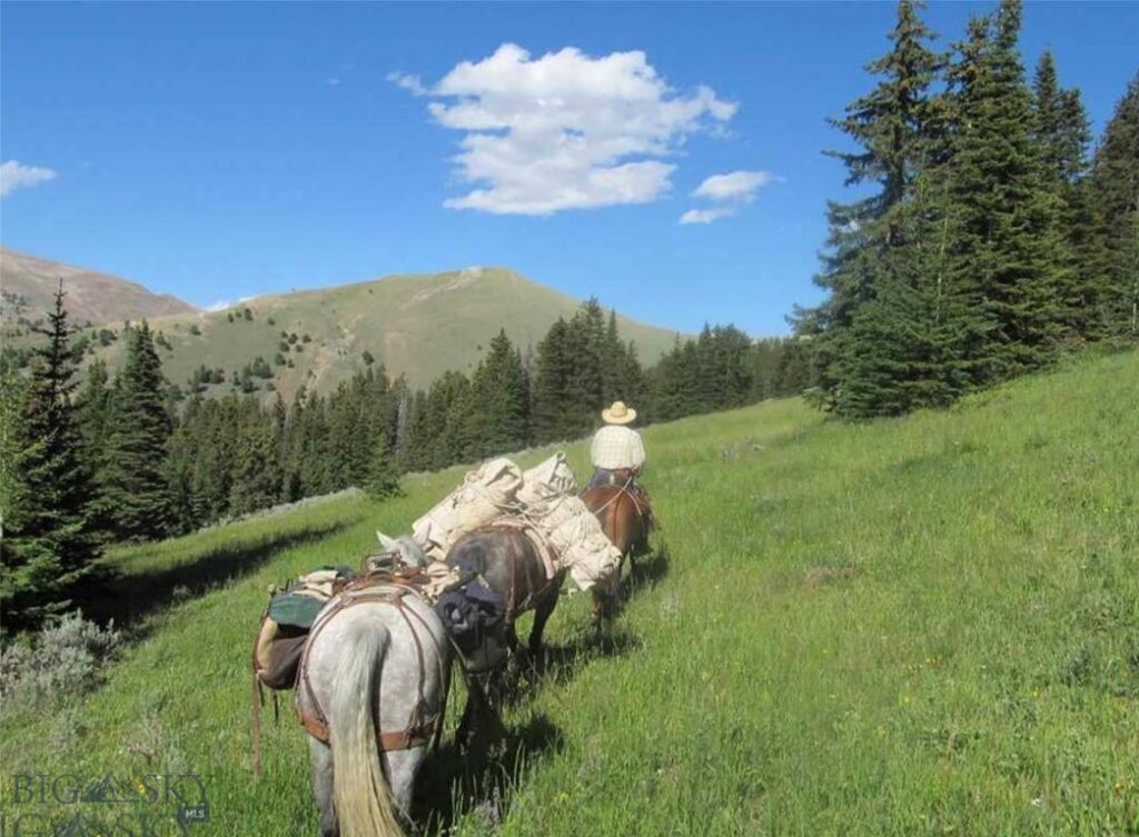 1855 Middle Fork Little Sheep Creek Road, Lima MT 59739
