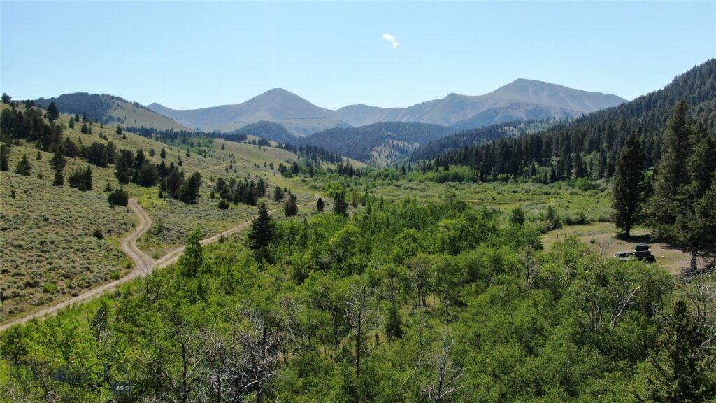 1855 Middle Fork Little Sheep Creek Road, Lima MT 59739