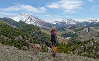 1855 Middle Fork Little Sheep Creek Road, Lima MT 59739
