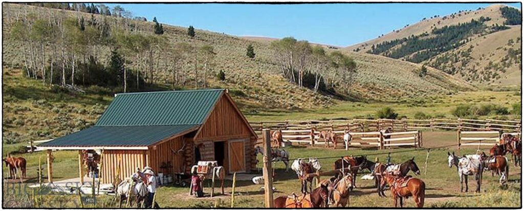 1855 Middle Fork Little Sheep Creek Road, Lima MT 59739