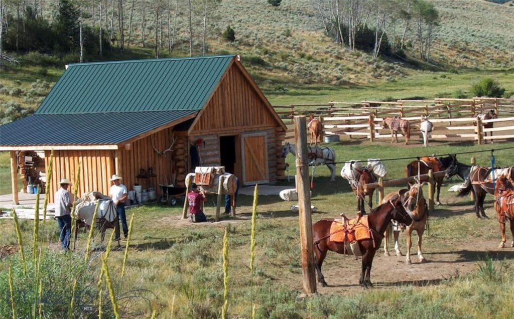 1855 Middle Fork Little Sheep Creek Road, Lima MT 59739