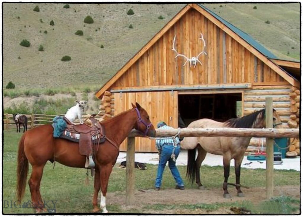1855 Middle Fork Little Sheep Creek Road, Lima MT 59739