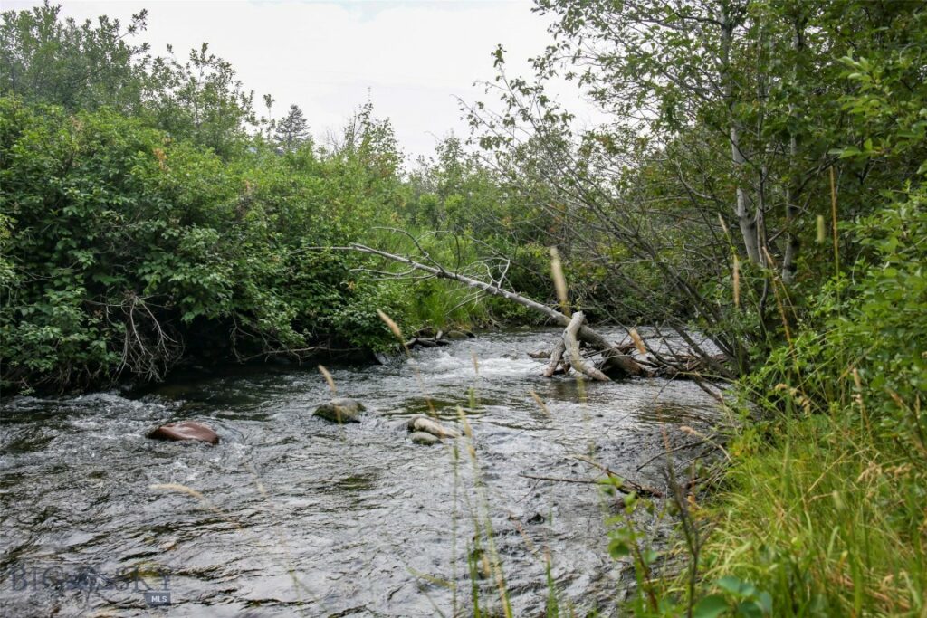 1859 Old Yellowstone Trail S, Emigrant MT 59027