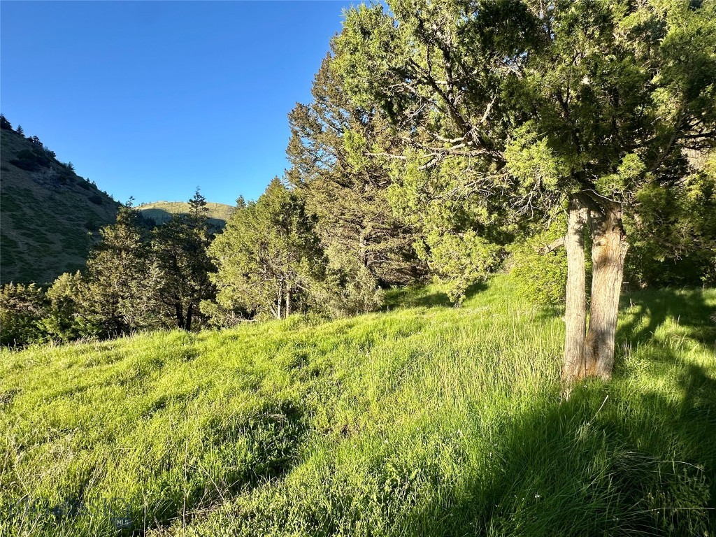 18600 Pole Gulch, Three Forks MT 59752