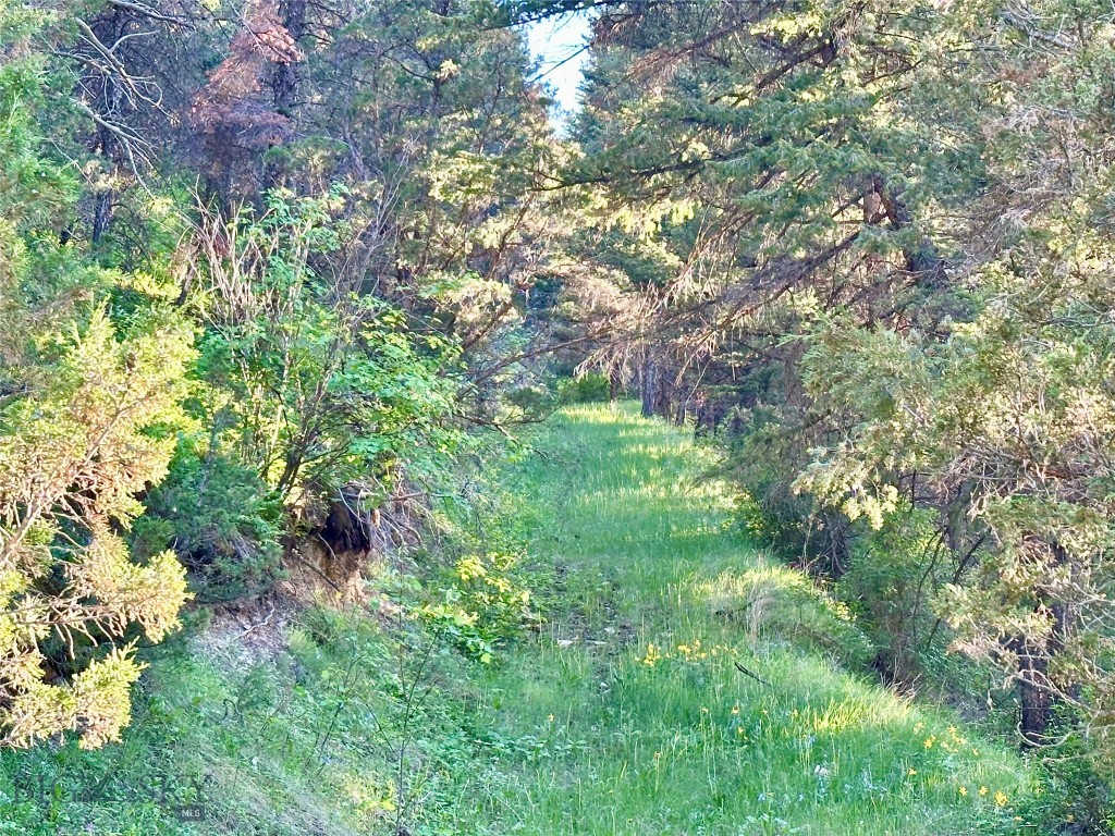 18600 Pole Gulch, Three Forks MT 59752