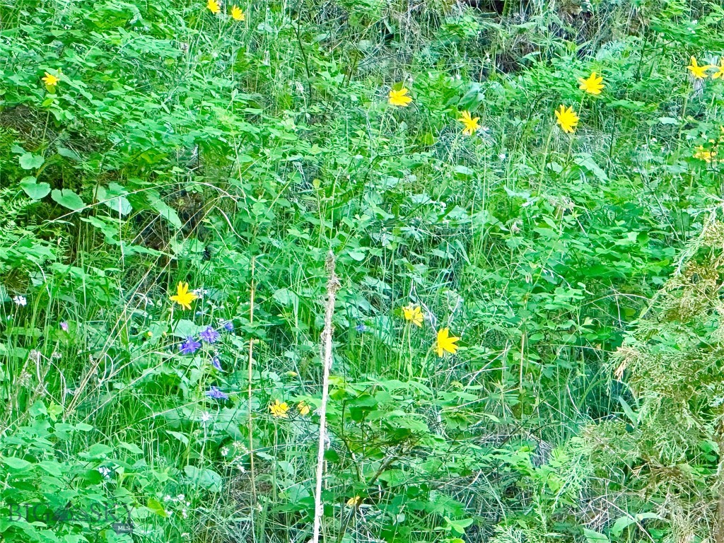 18600 Pole Gulch, Three Forks MT 59752