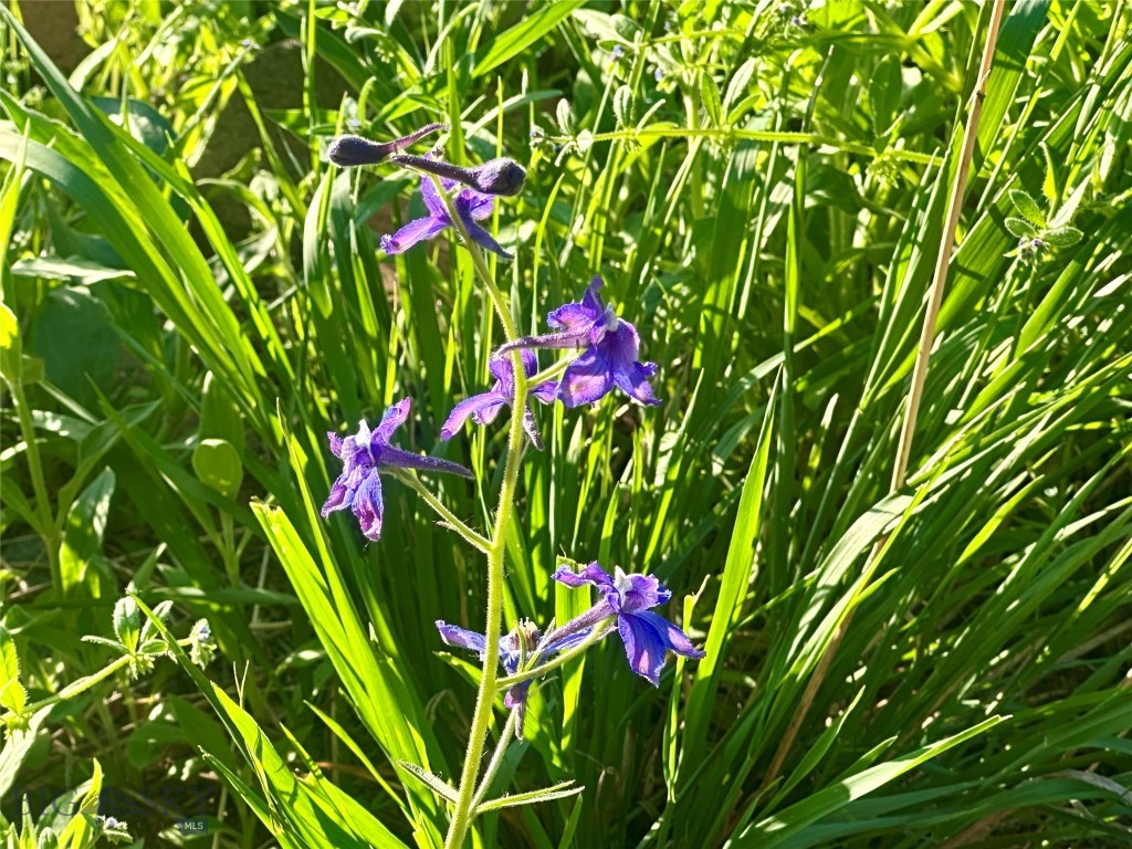 18600 Pole Gulch, Three Forks MT 59752