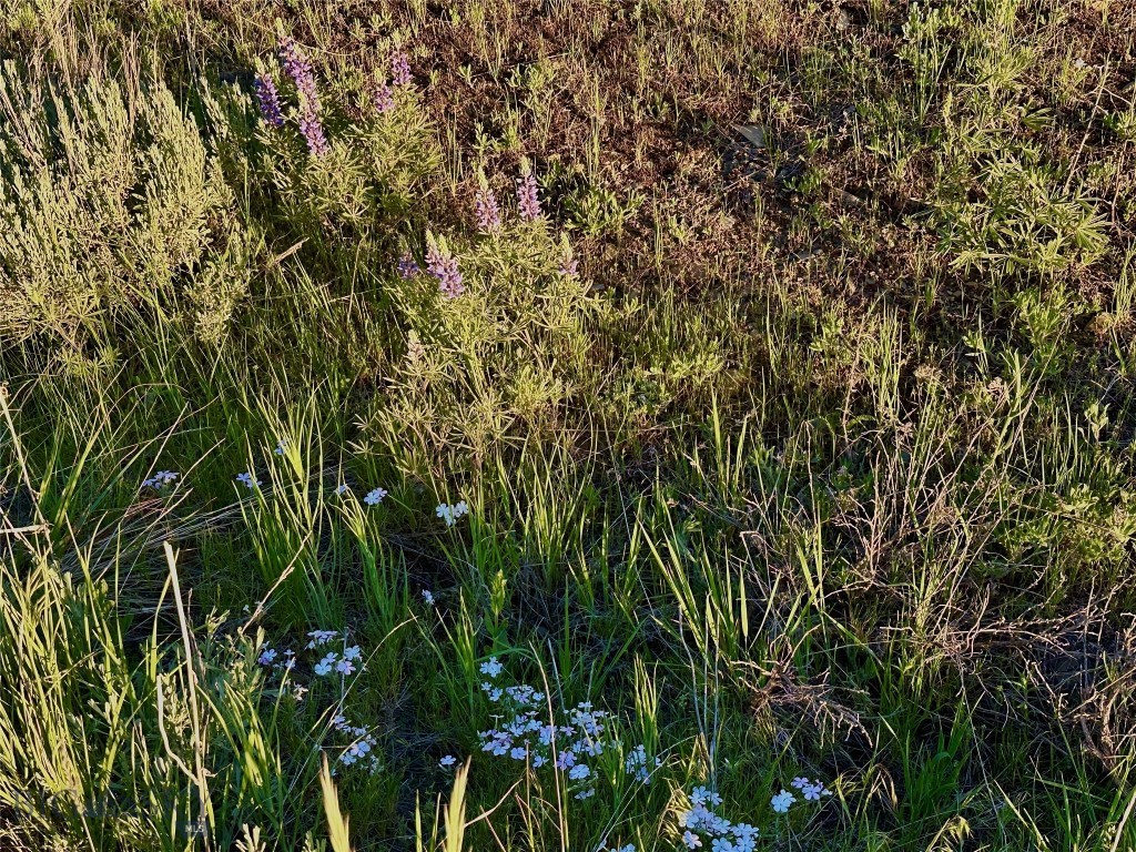 18600 Pole Gulch, Three Forks MT 59752