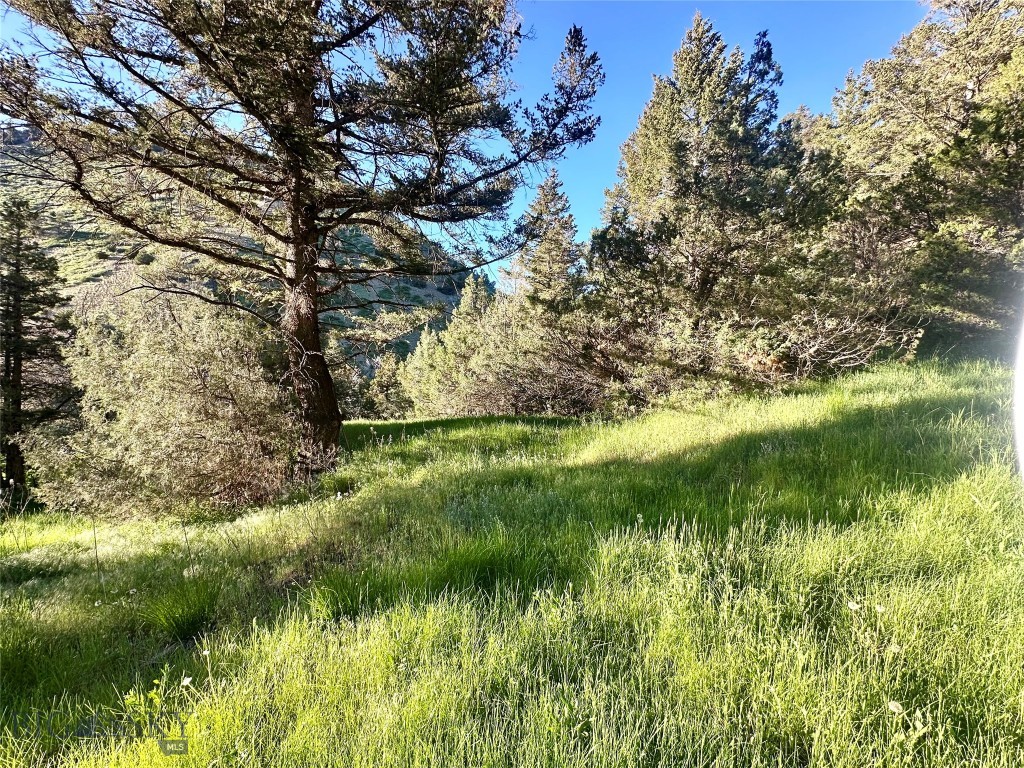 18600 Pole Gulch, Three Forks MT 59752