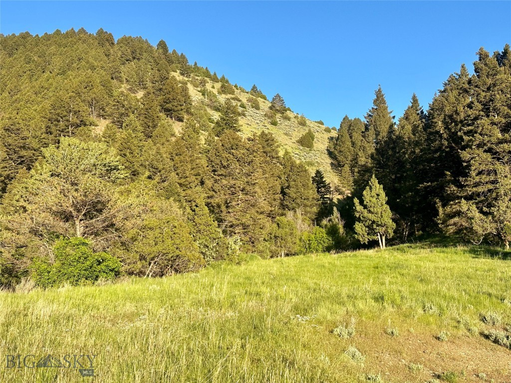 18600 Pole Gulch, Three Forks MT 59752