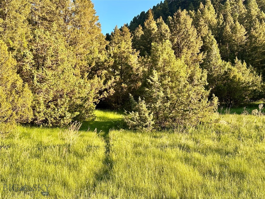 18600 Pole Gulch, Three Forks MT 59752