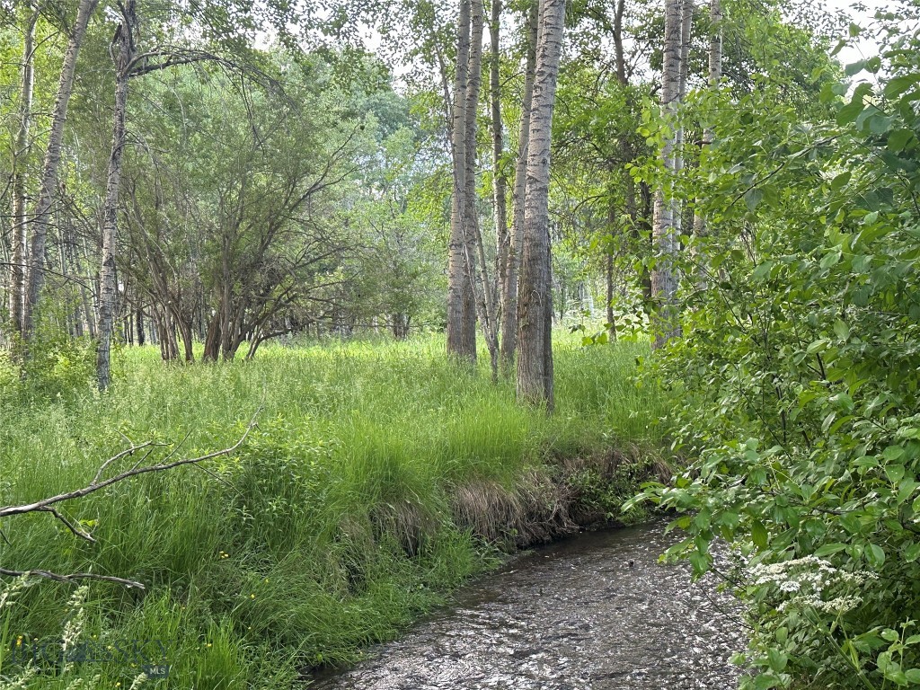 1918 & TBD Spring Creek Drive, Bozeman MT 59715