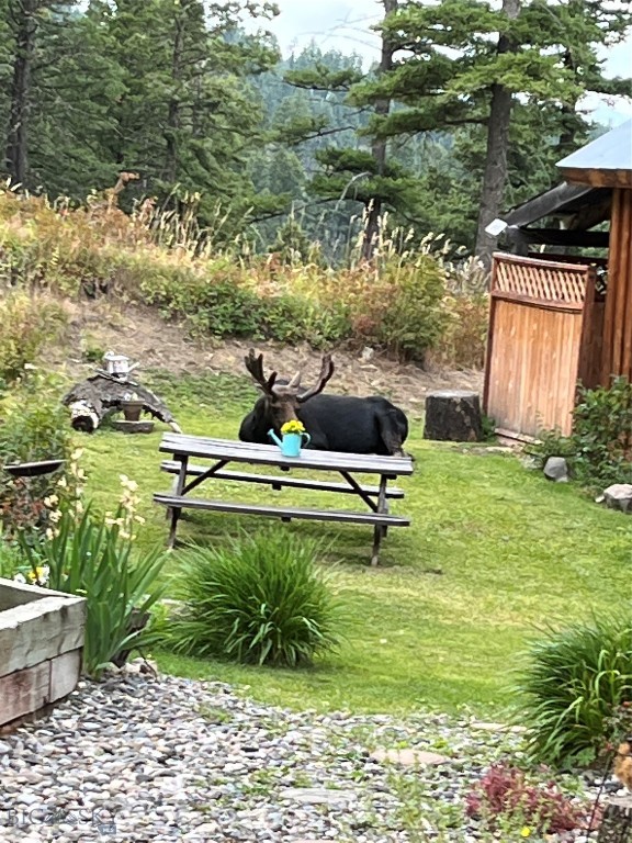 192 Mountain Brook Road, Livingston MT 59047