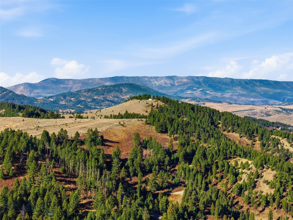 192 Mountain Brook Road, Livingston MT 59047